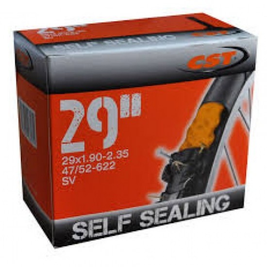 Αεροθάλαμος CST 29 X 1.90/2.125 FV 48mm με υγρό προστασίας